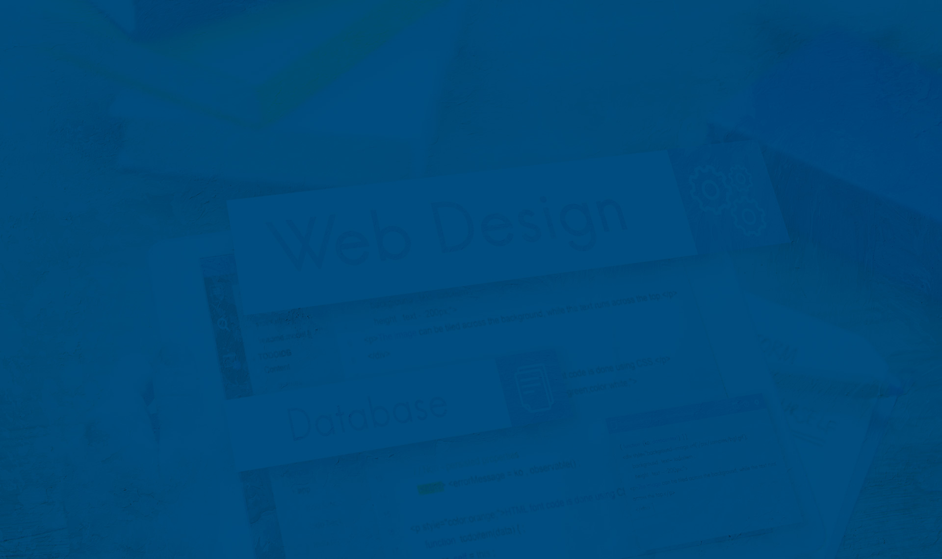 disenoWebProfesional